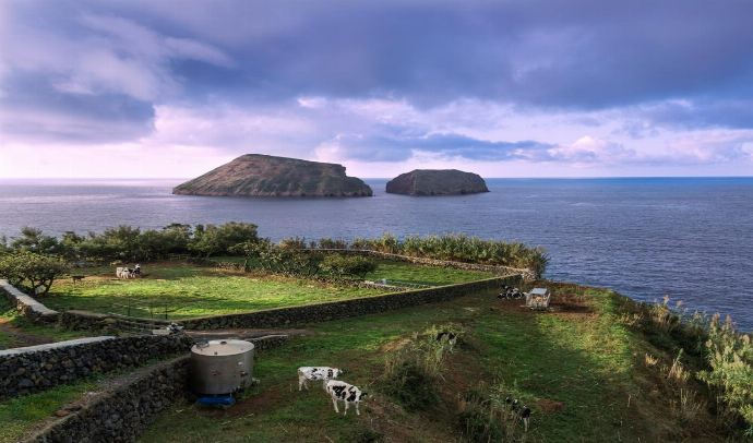 Circuito DESCUBRIENDO TERCEIRA desde Península