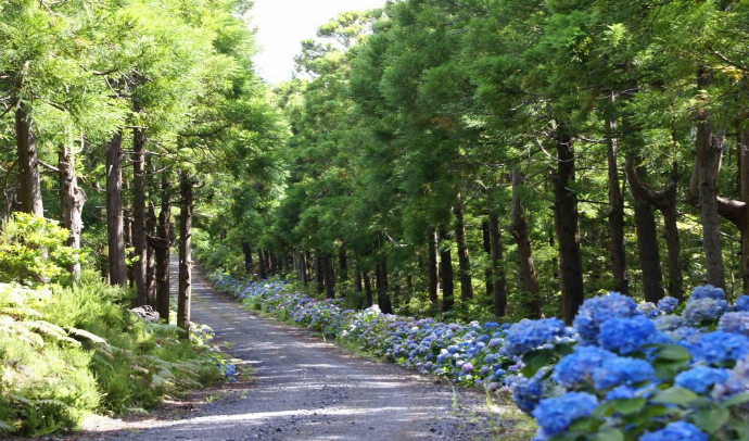 Circuito PINCELADAS TERCEIRA desde Península