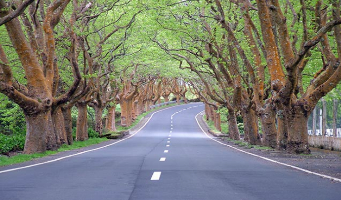 Circuito SENDERISMO en TERCEIRA desde Península