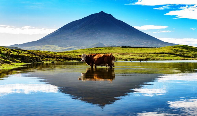 Excursiones opcionales Pico (Azores)