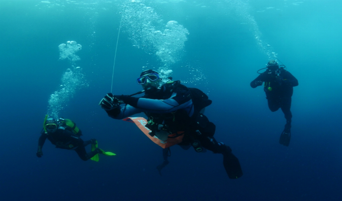 Programas de Buceo en Azores