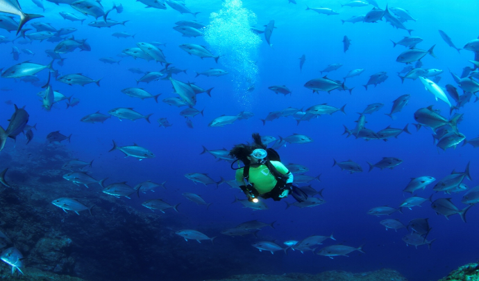 Programas de Buceo en Azores